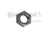 CONTITECH V31199 Nut